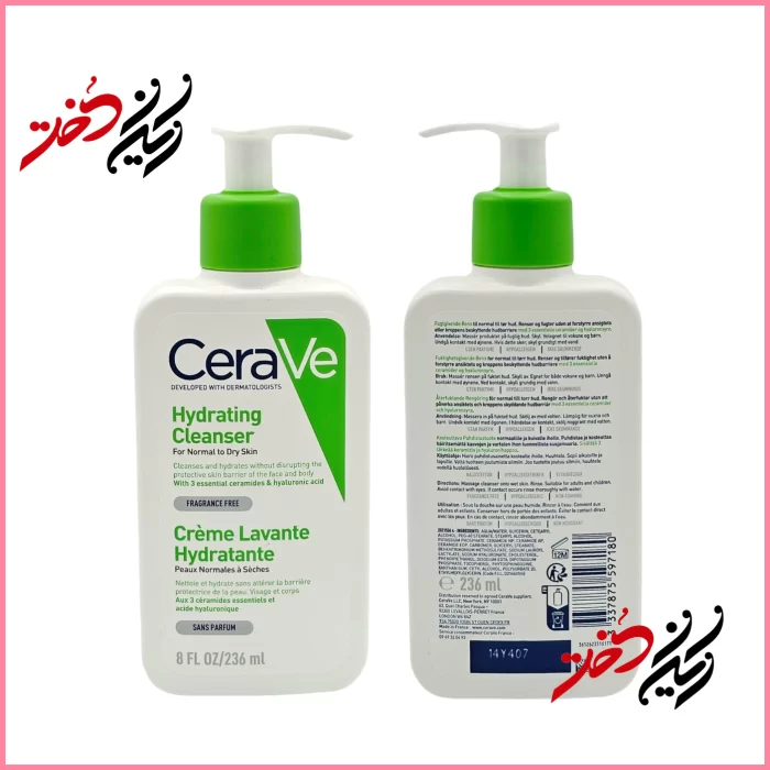 ژل پاک‌کننده CeraVe Reinigung Creme-zu-Schaum – نمای جلو و عقب با ظرف پلاستیکی و پمپ سفید – طراحی ساده و حرفه‌ای – عرضه‌شده توسط ایران دخت